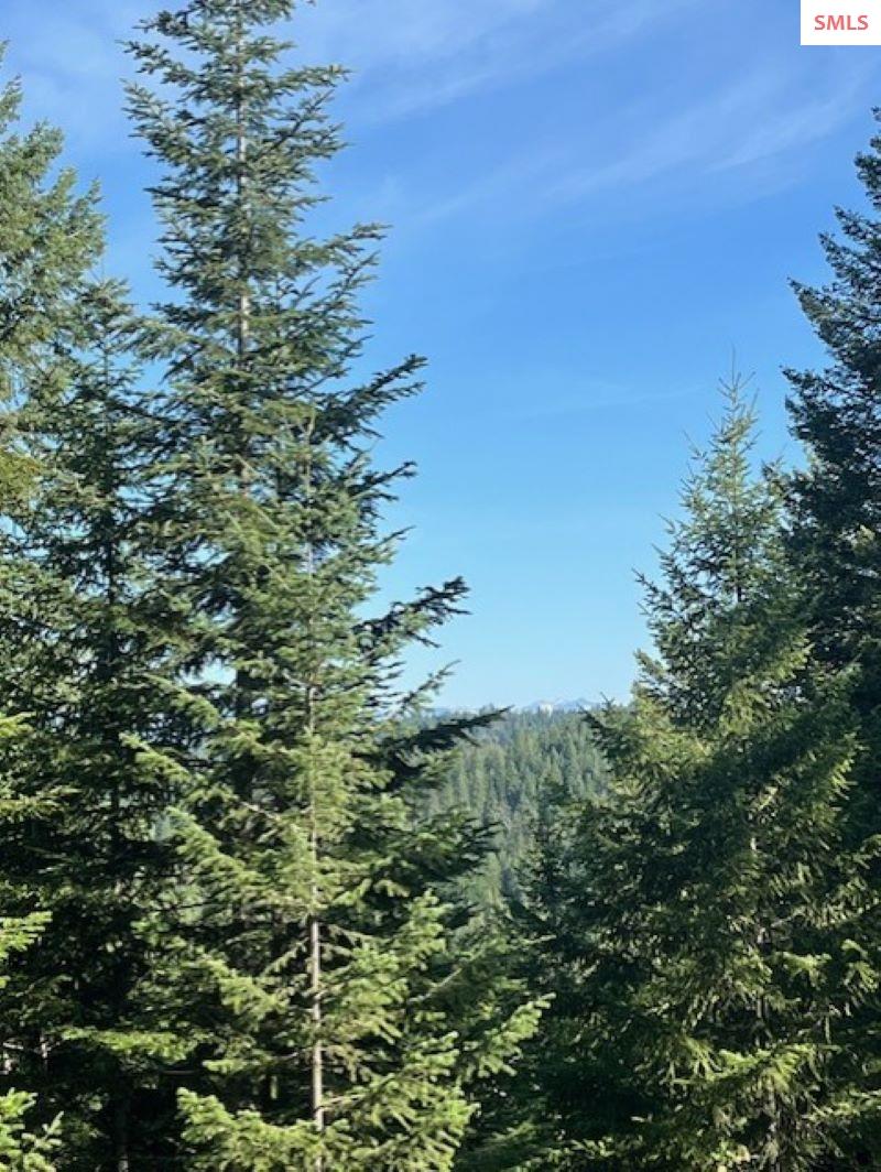 NNA C35 White Cloud Drive