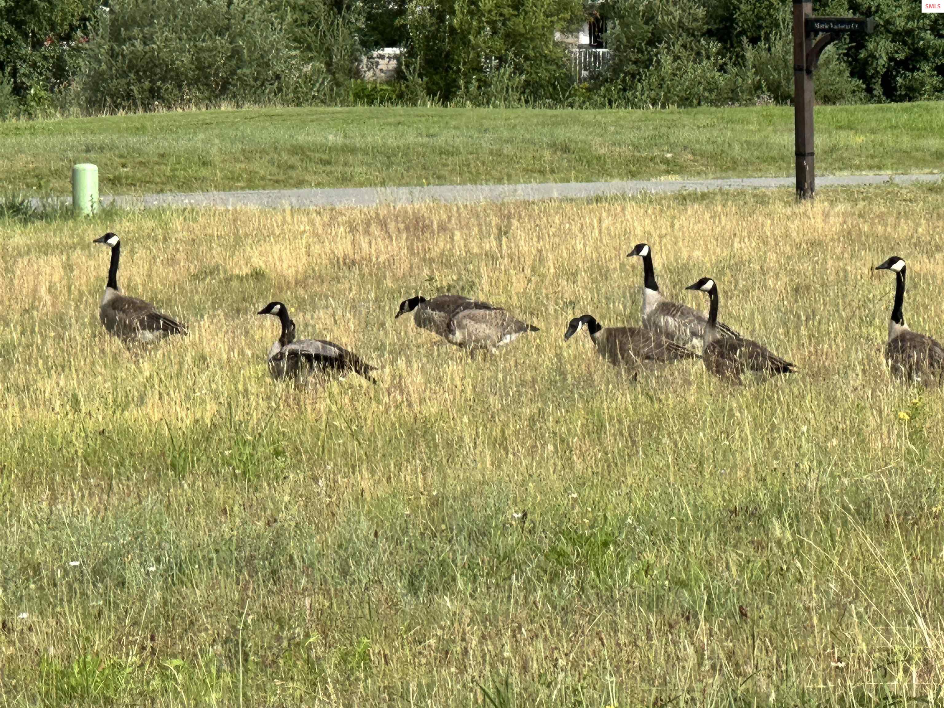 NNA Marie Victoria Ct Blk 2 Lot 12