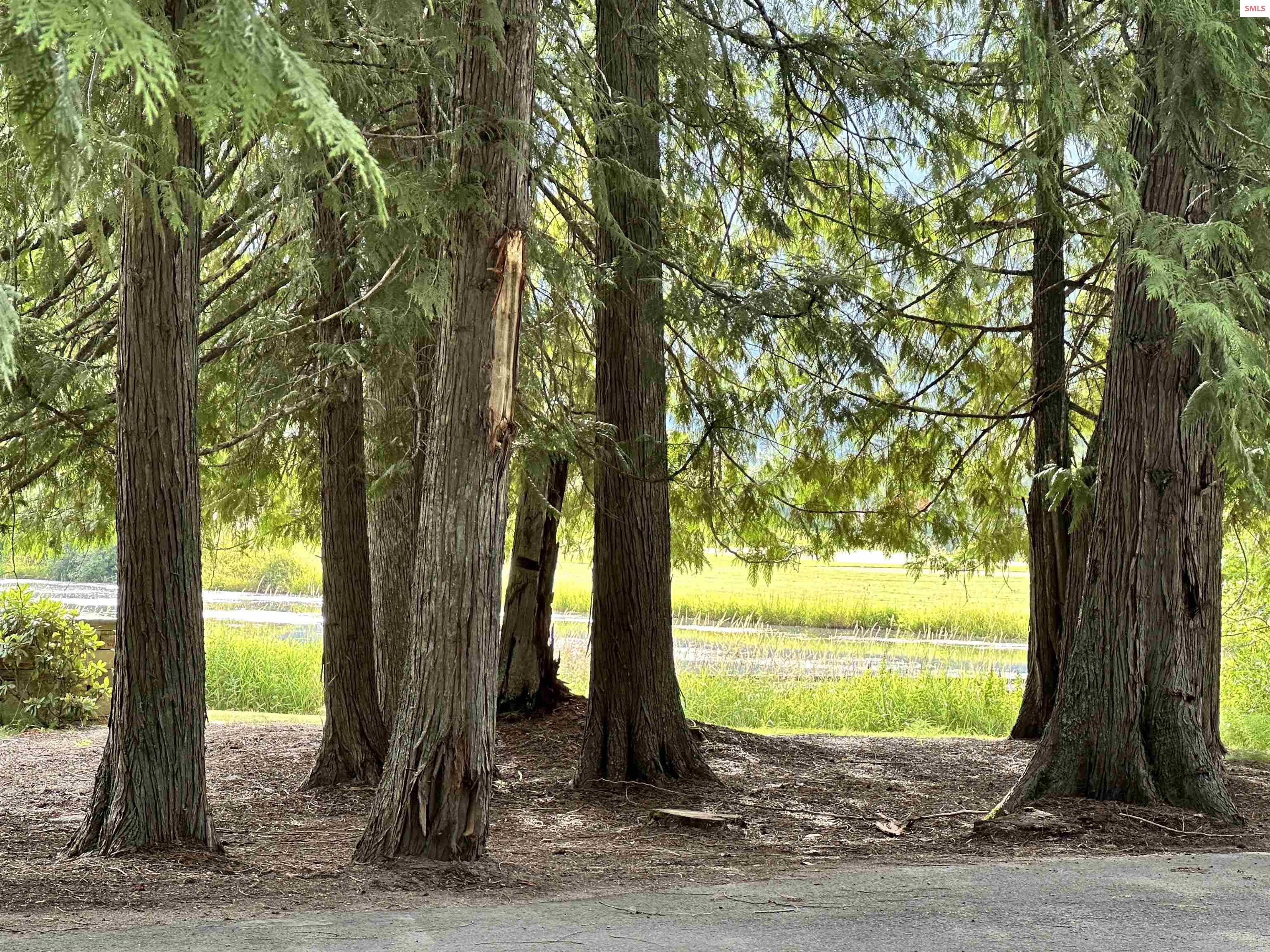 NNA Marie Victoria Ct Blk 2 Lot 12