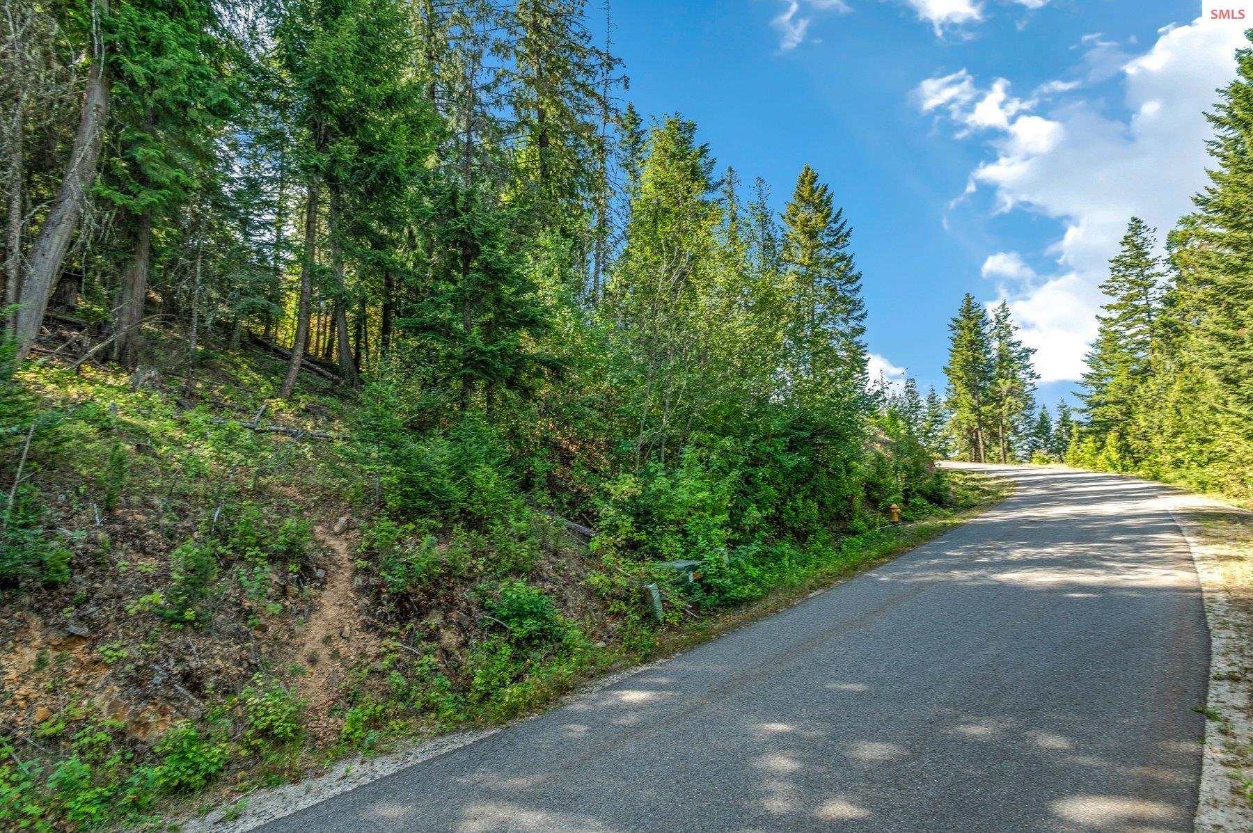 NNA C5 S Idaho Club Drive