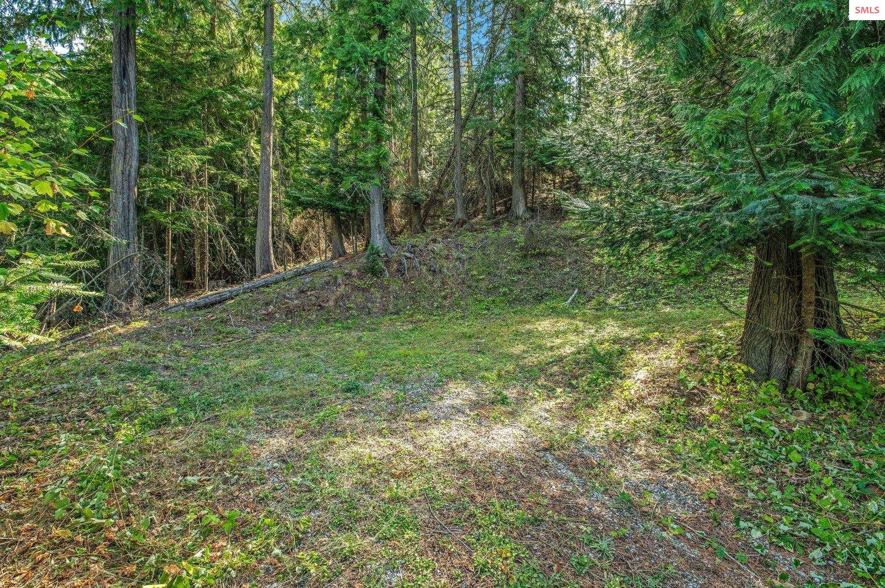 NNA C5 S Idaho Club Drive