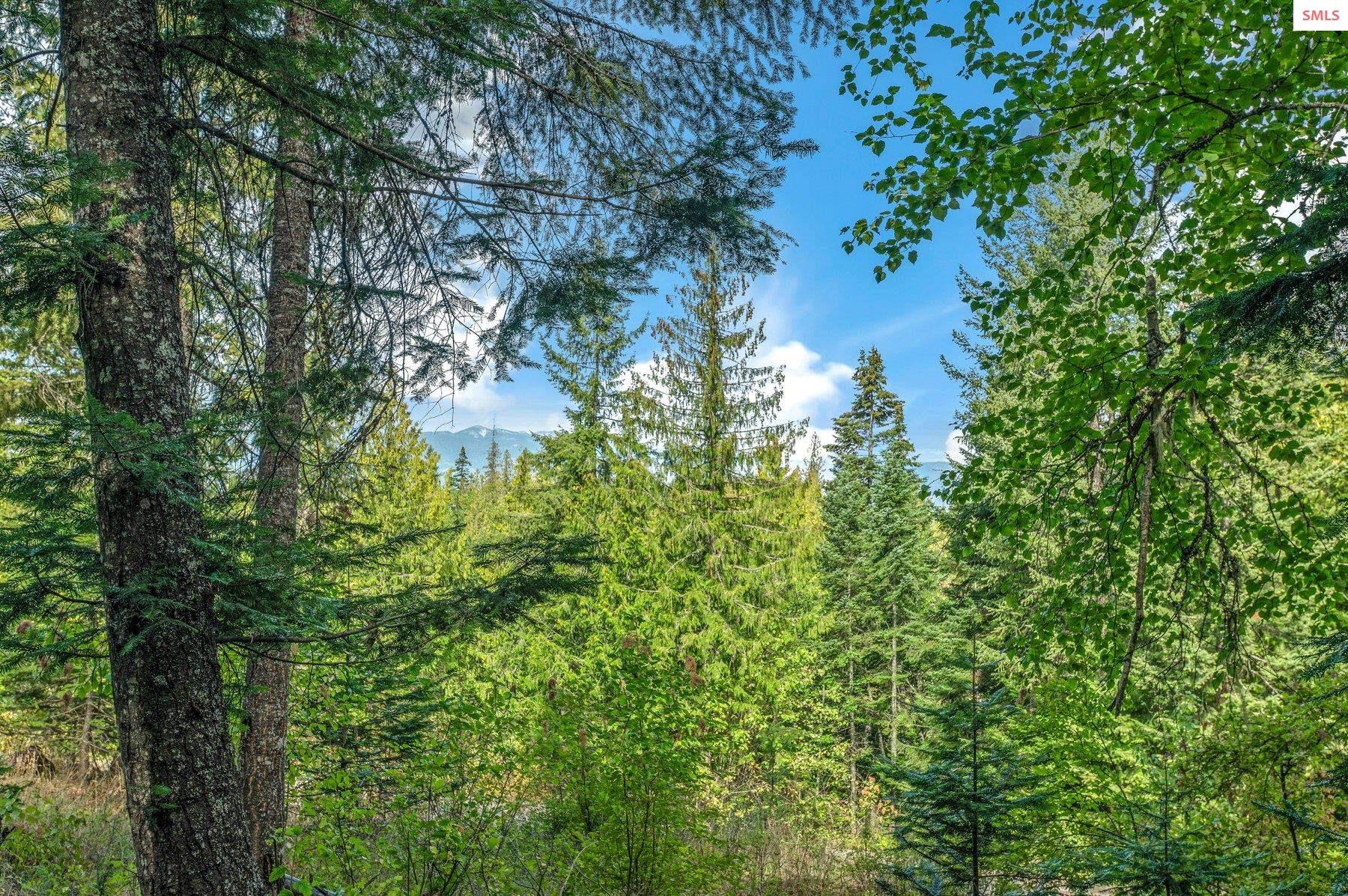 NNA C5 S Idaho Club Drive