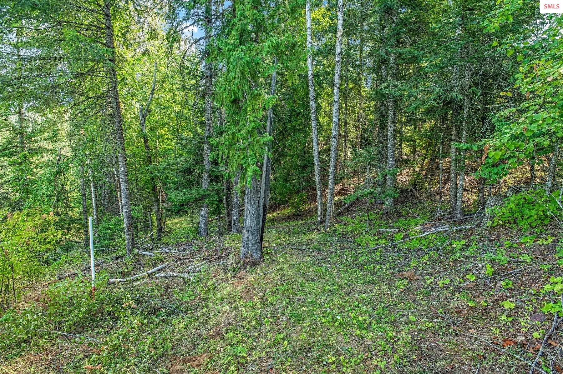 NNA C5 S Idaho Club Drive