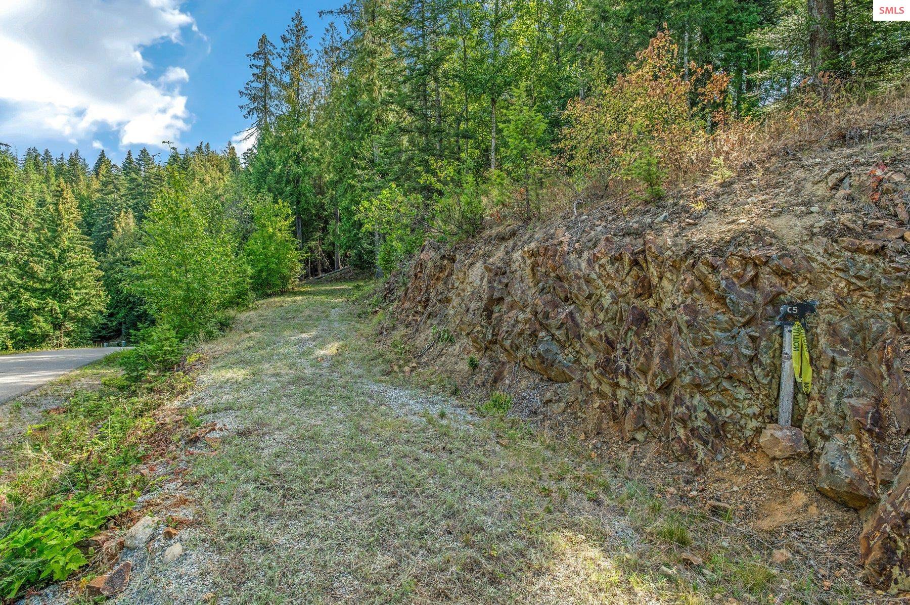 NNA C5 S Idaho Club Drive