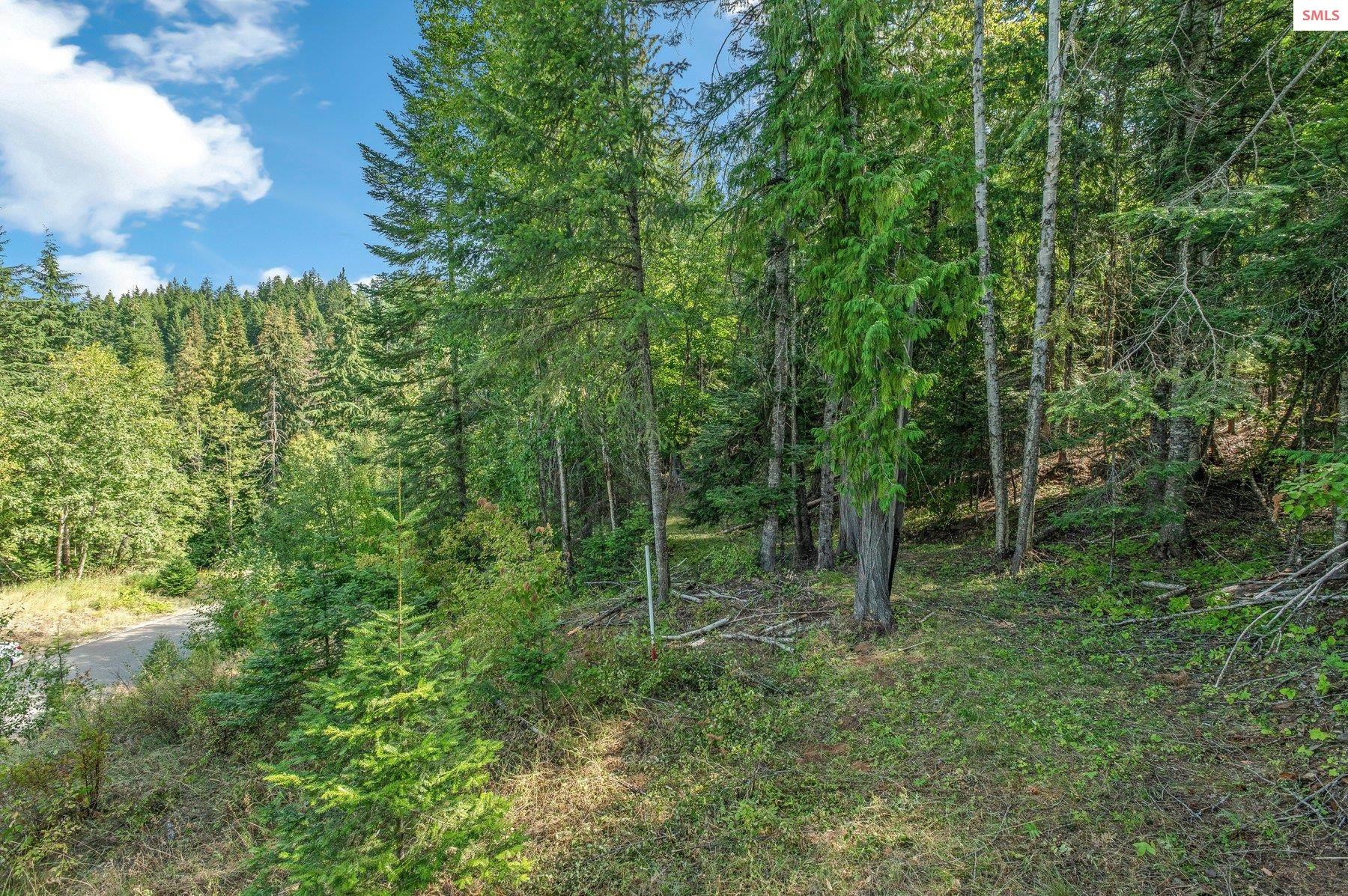 NNA C5 S Idaho Club Drive