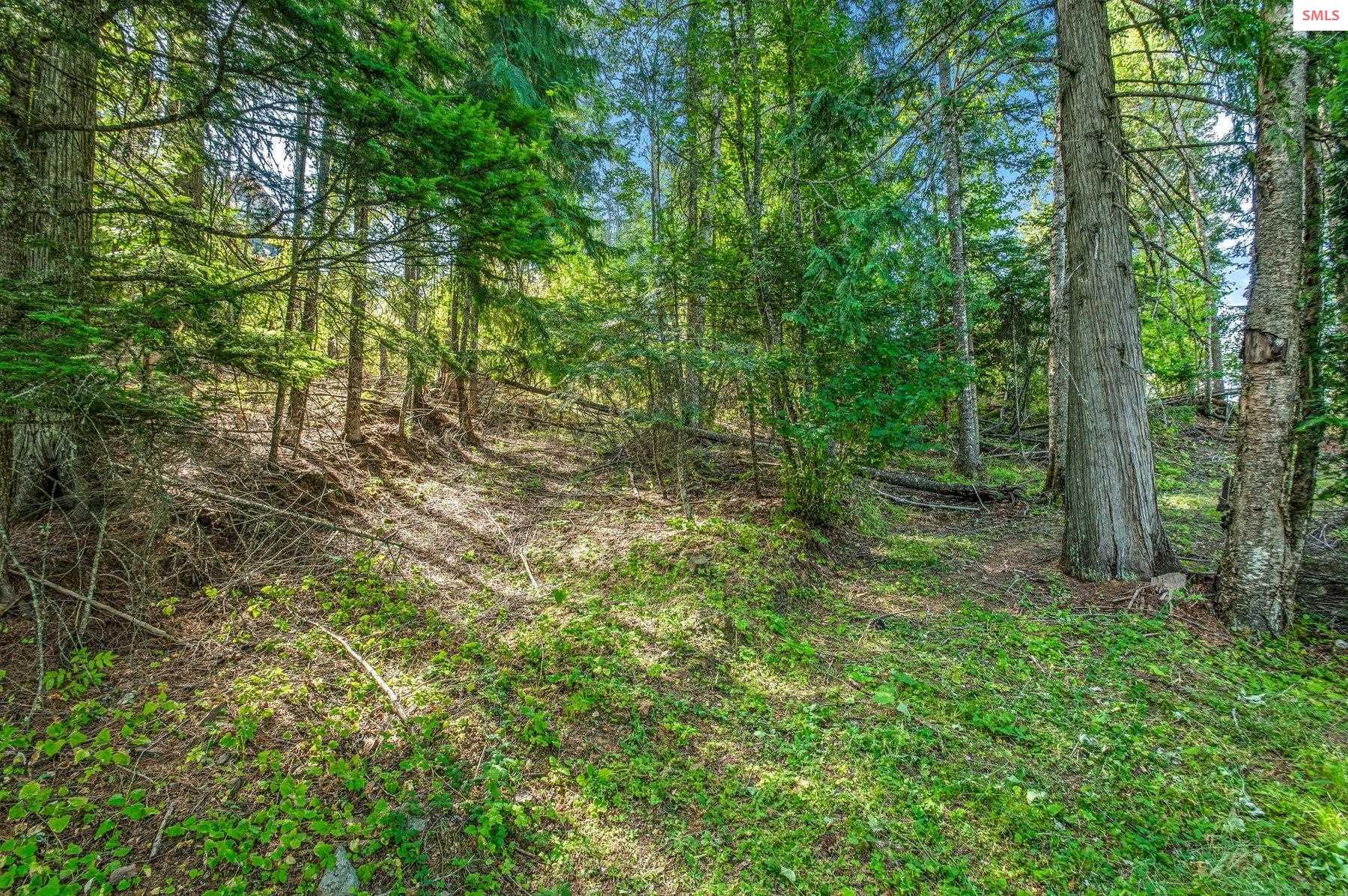 NNA C5 S Idaho Club Drive