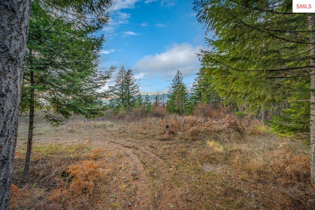 NNA E25 Wildridge Way