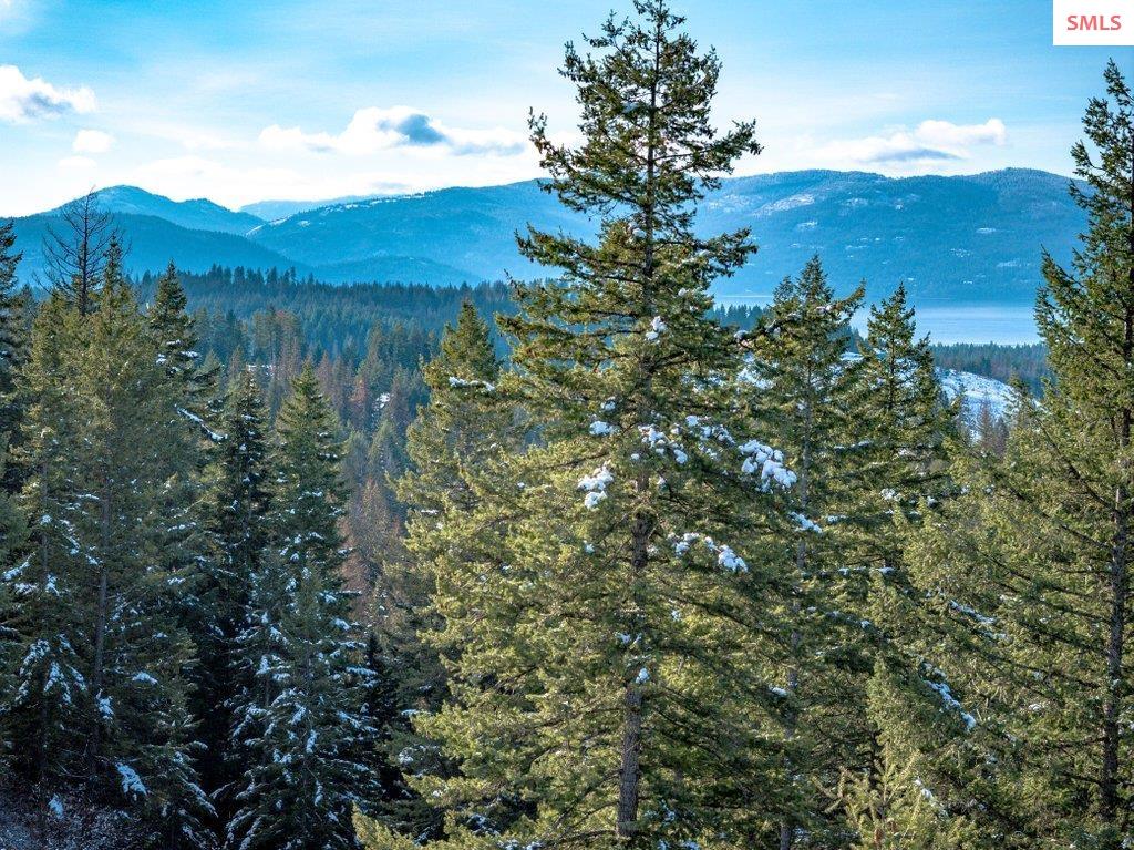 NNA E25 Wildridge Way