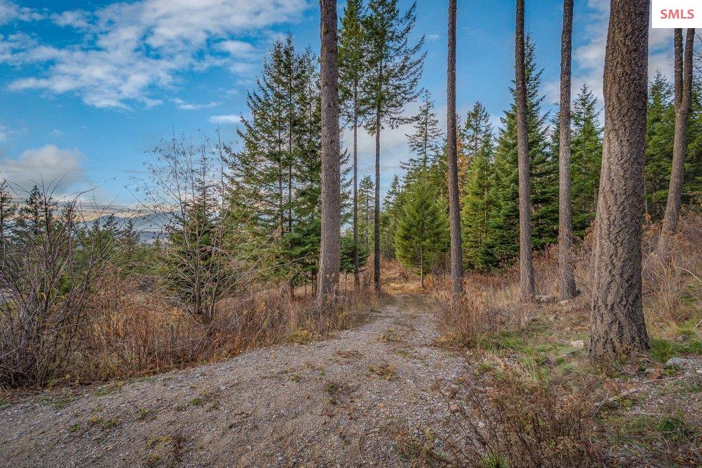 NNA E25 Wildridge Way