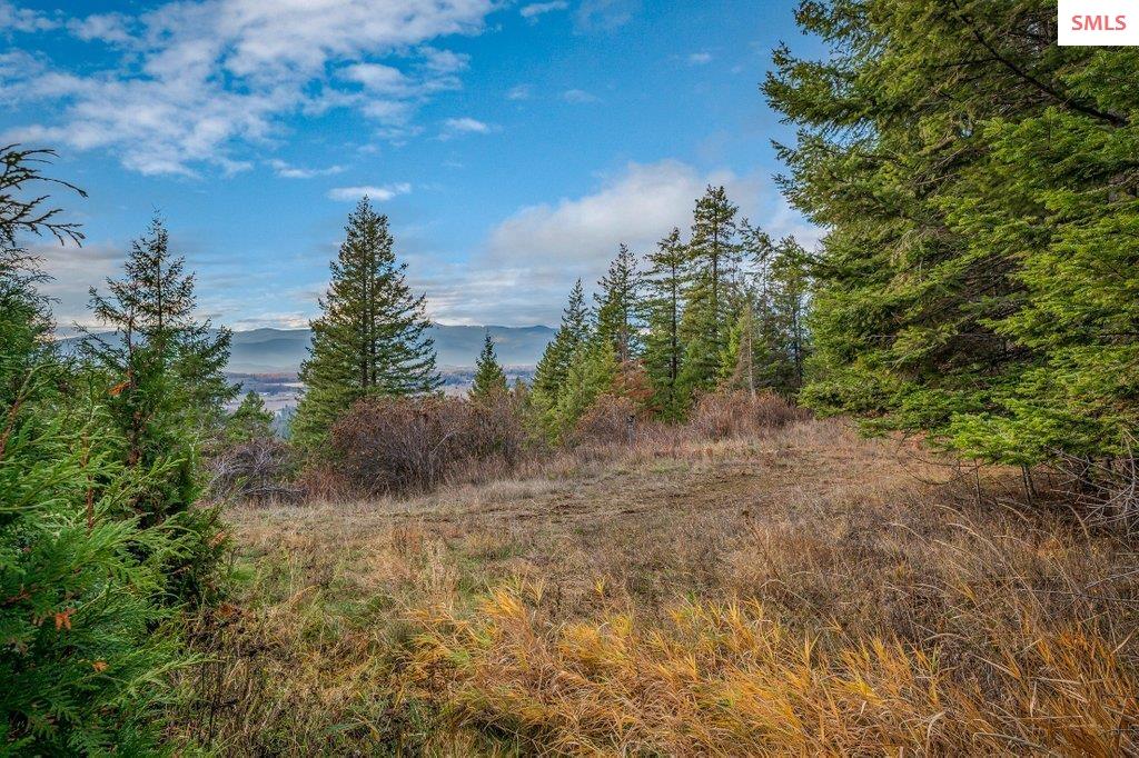 NNA E25 Wildridge Way