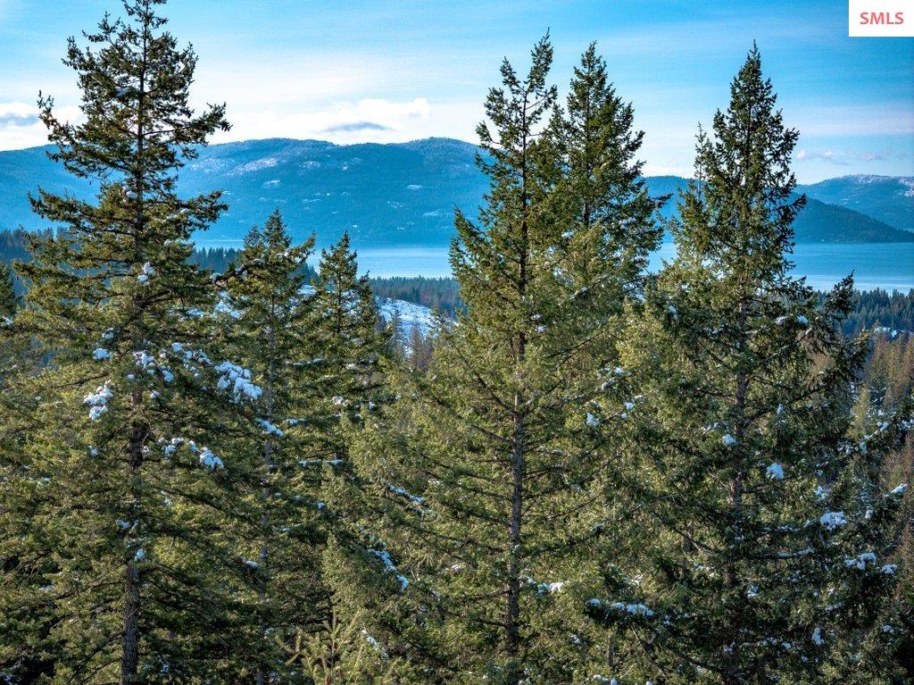 NNA E25 Wildridge Way