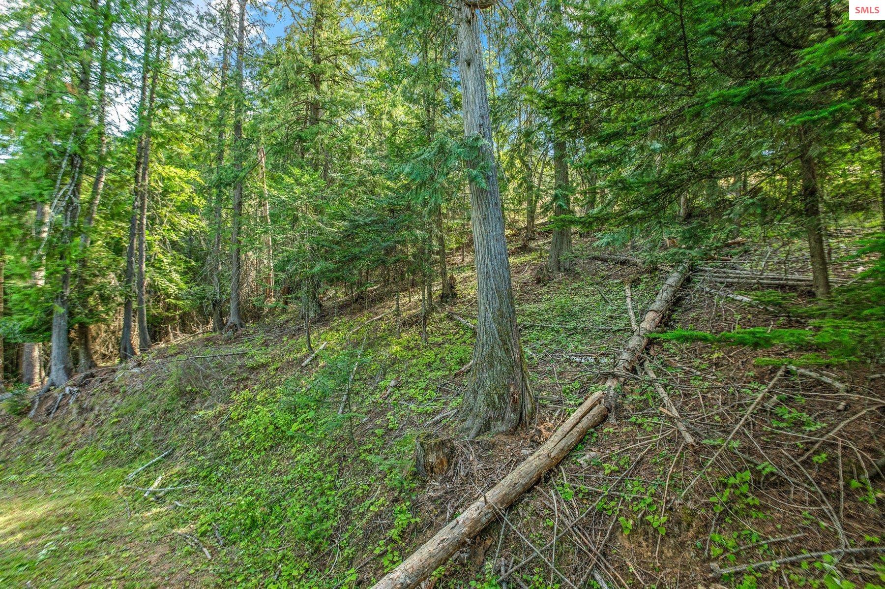 NNA C5 S Idaho Club Drive