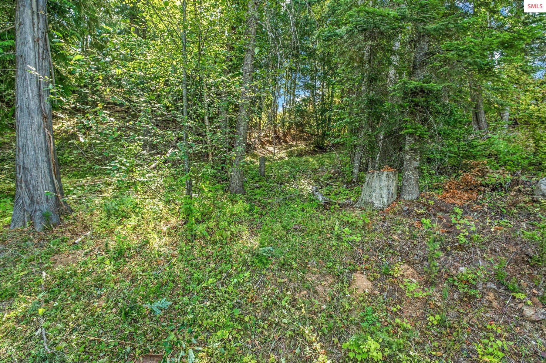 NNA C5 S Idaho Club Drive