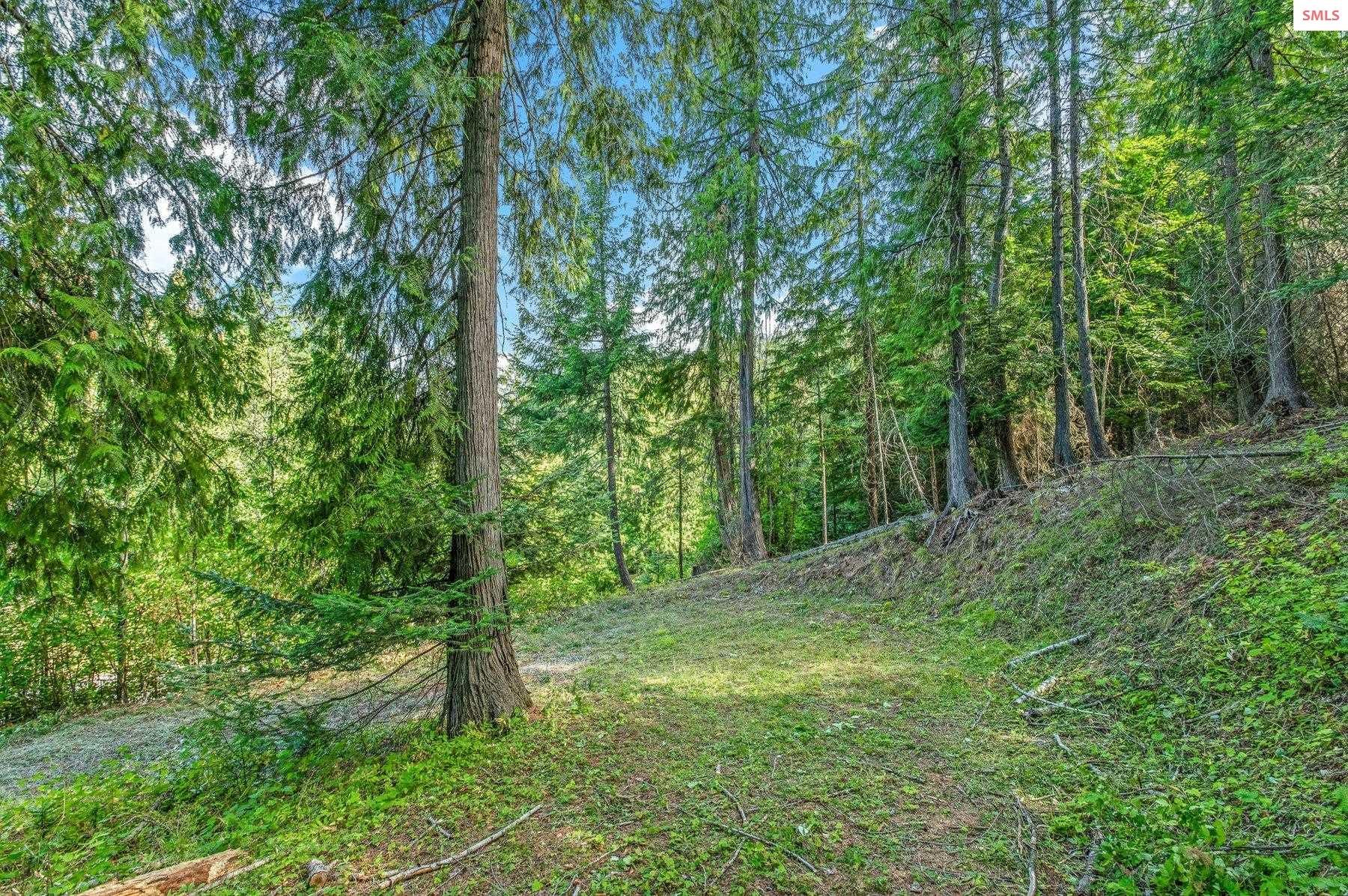 NNA C5 S Idaho Club Drive