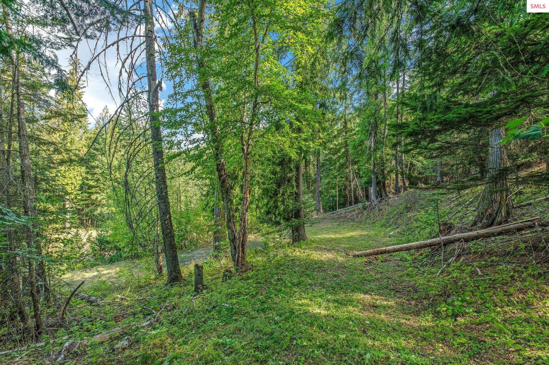 NNA C5 S Idaho Club Drive