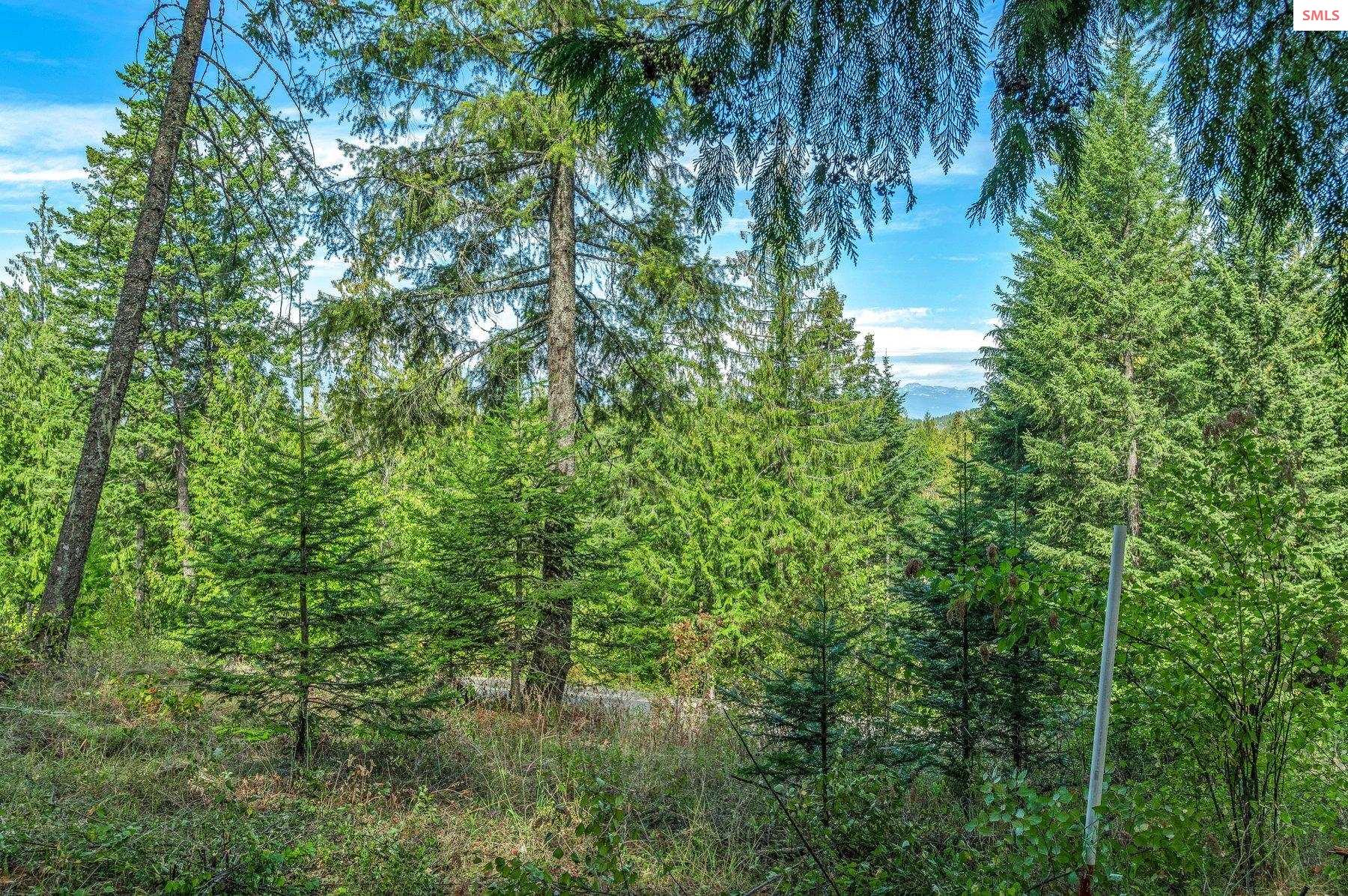 NNA C5 S Idaho Club Drive