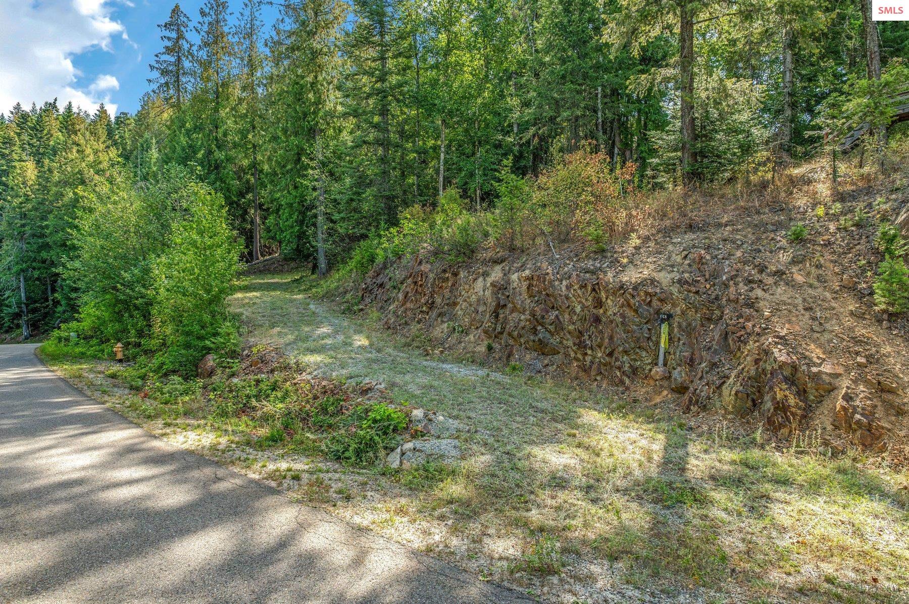 NNA C5 S Idaho Club Drive