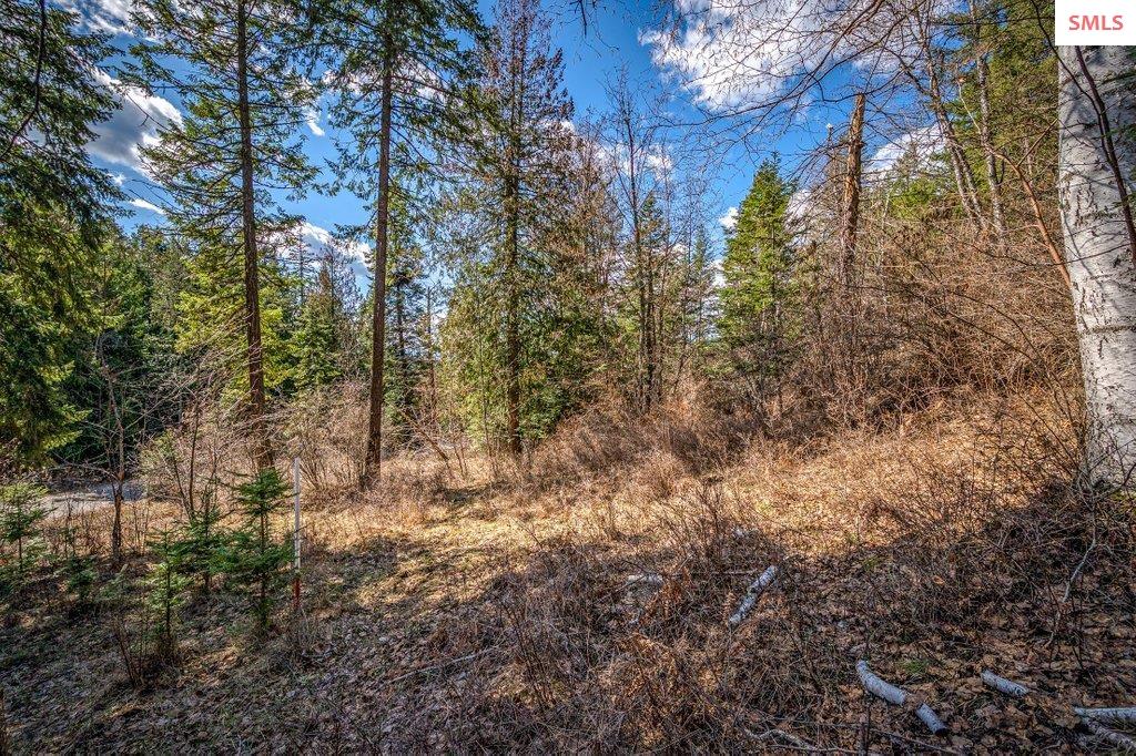 NNA F12 S Idaho Club Drive