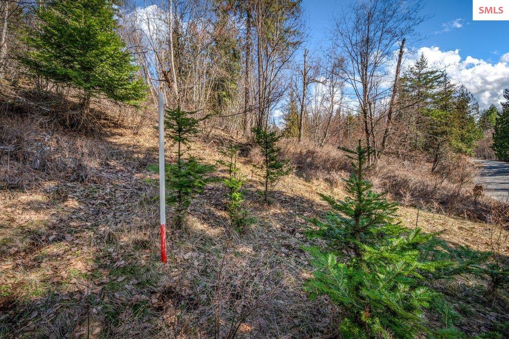 NNA F12 S Idaho Club Drive