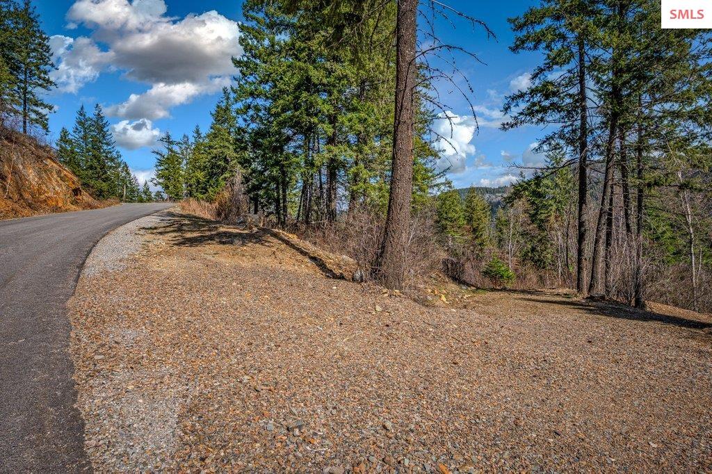 NNA G8 Forest Highland