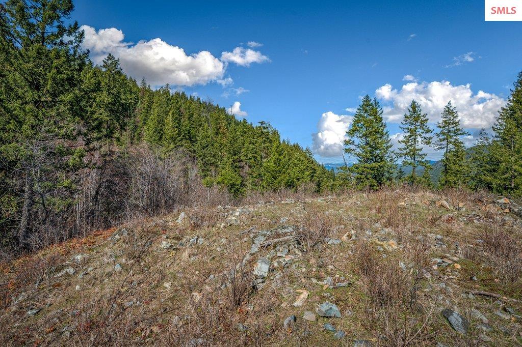 NNA G8 Forest Highland