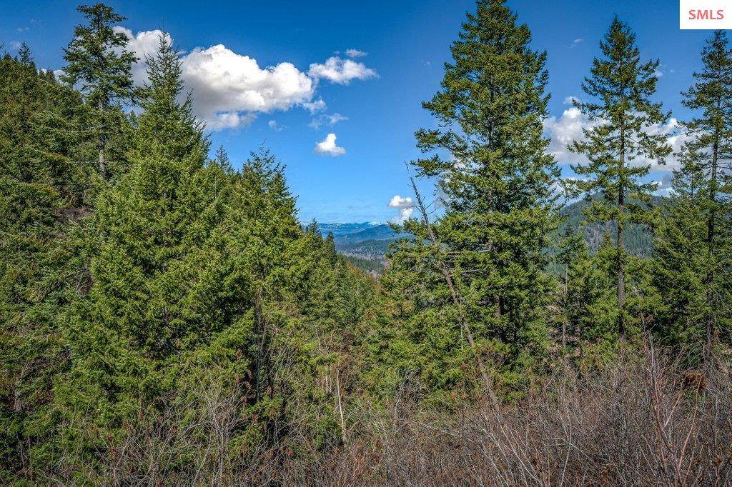 NNA G8 Forest Highland