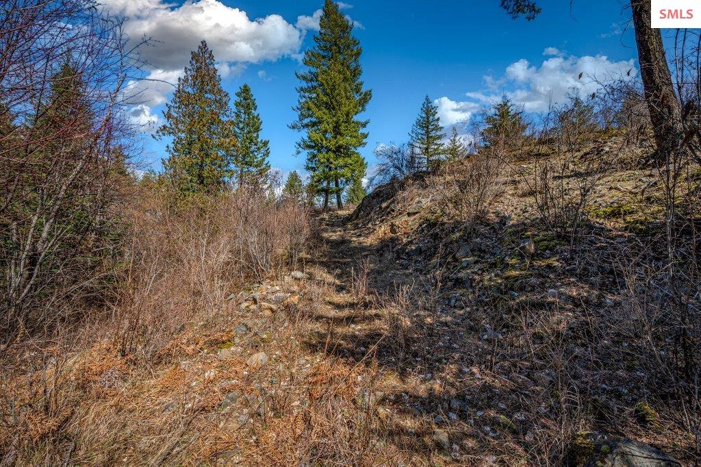 NNA G8 Forest Highland