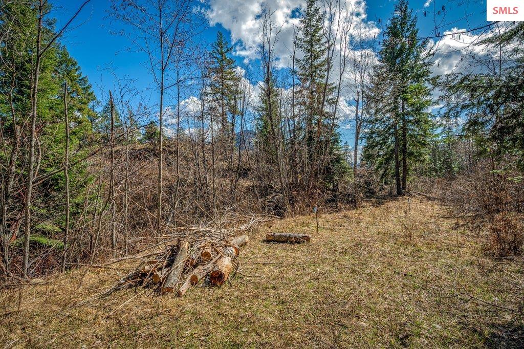 NNA G8 Forest Highland