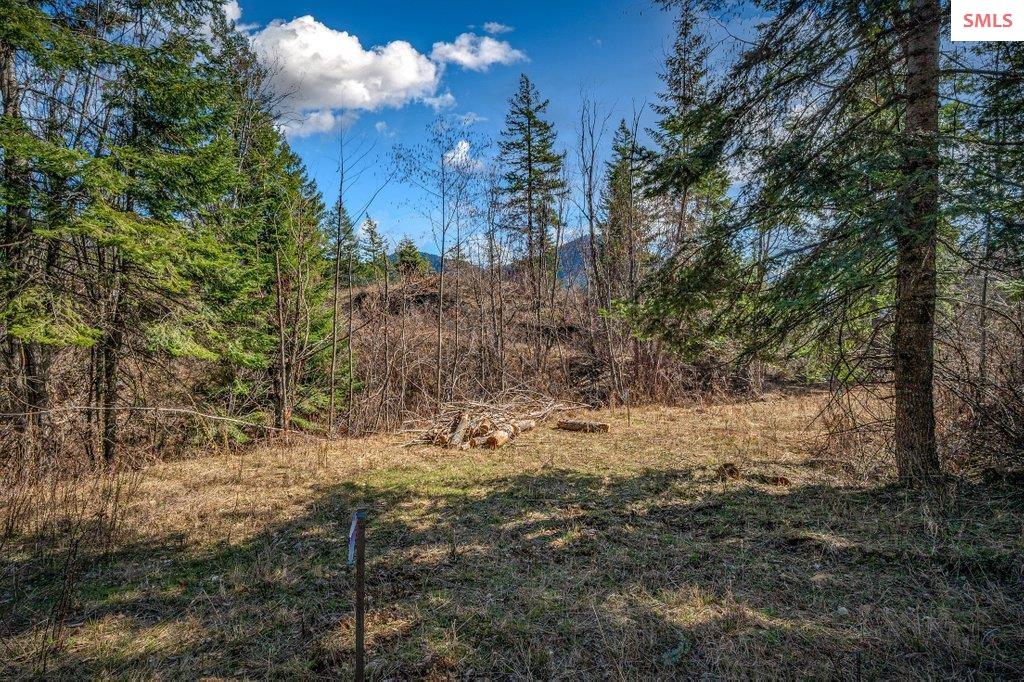 NNA G8 Forest Highland