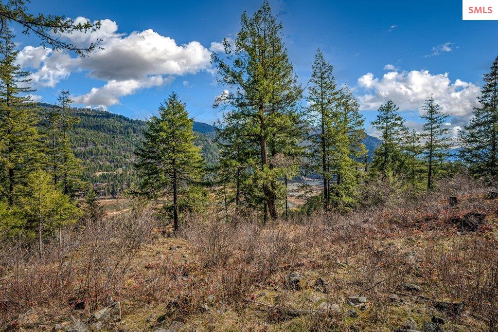 NNA G8 Forest Highland