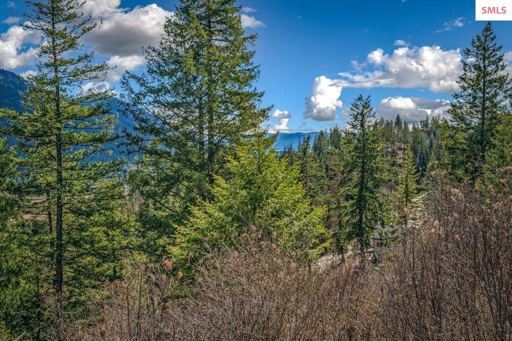 NNA G8 Forest Highland