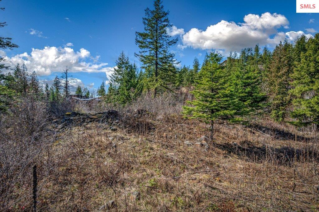 NNA G8 Forest Highland