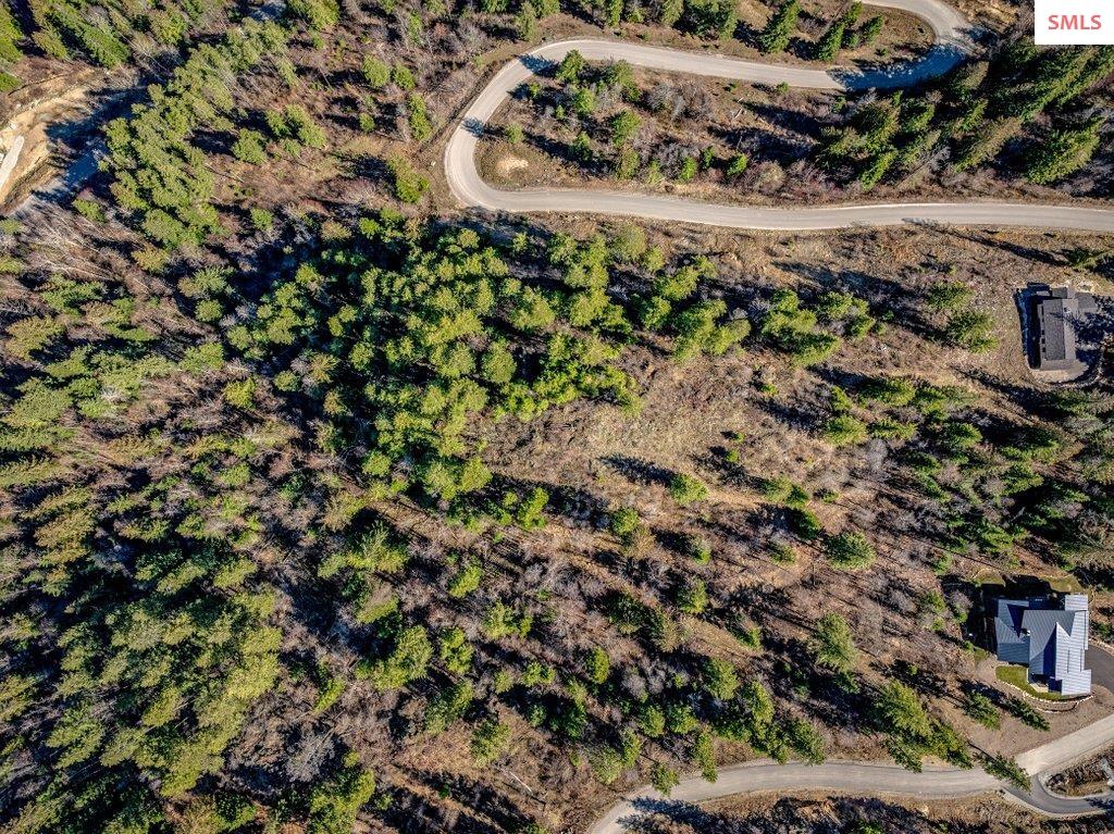 NNA G8 Forest Highland