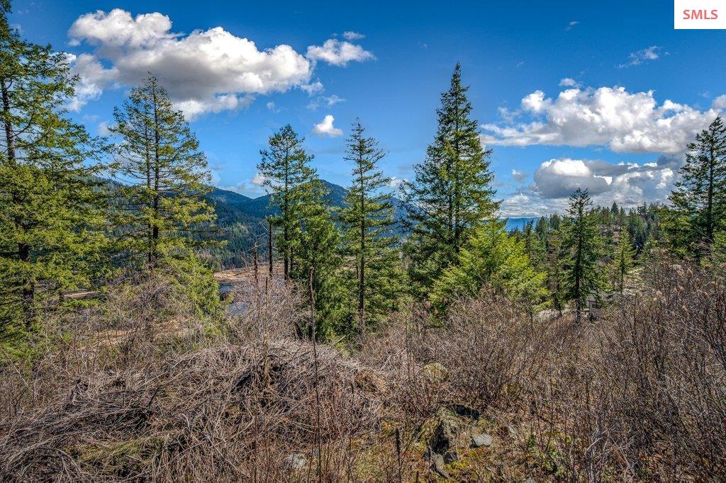 NNA G8 Forest Highland