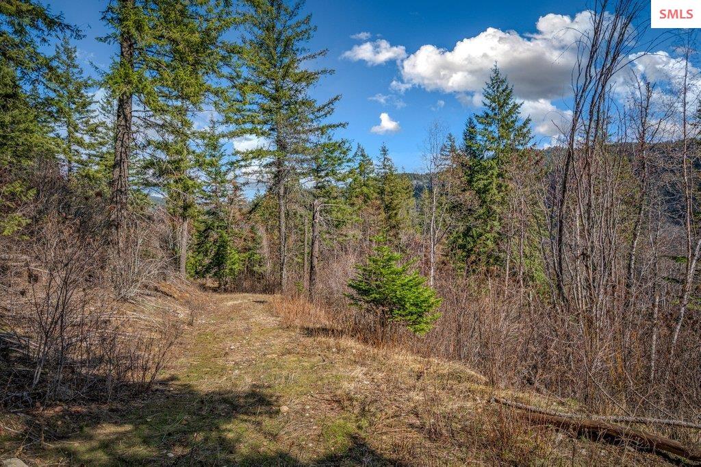 NNA G8 Forest Highland