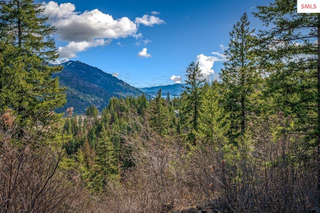 NNA G8 Forest Highland