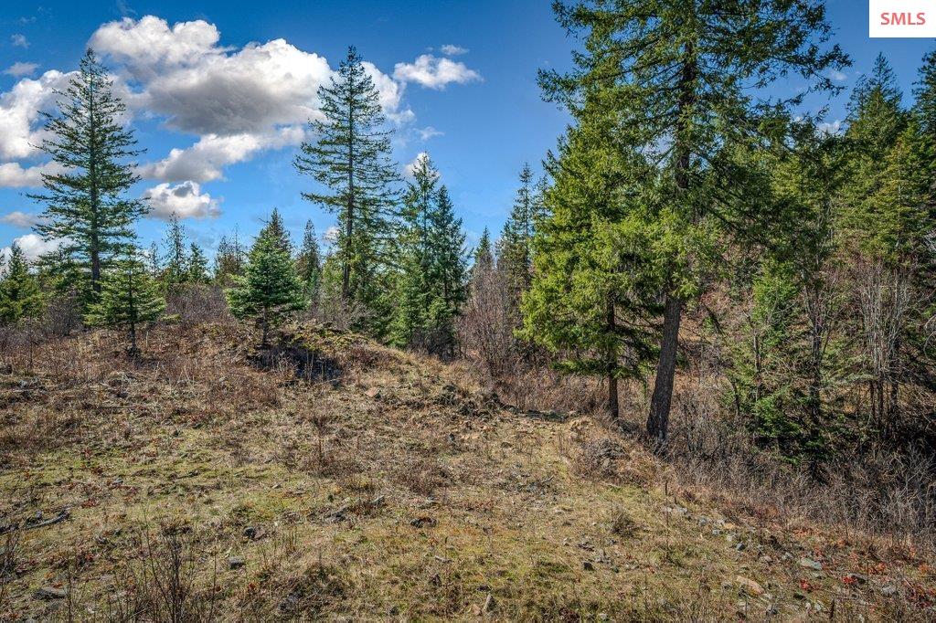 NNA G8 Forest Highland