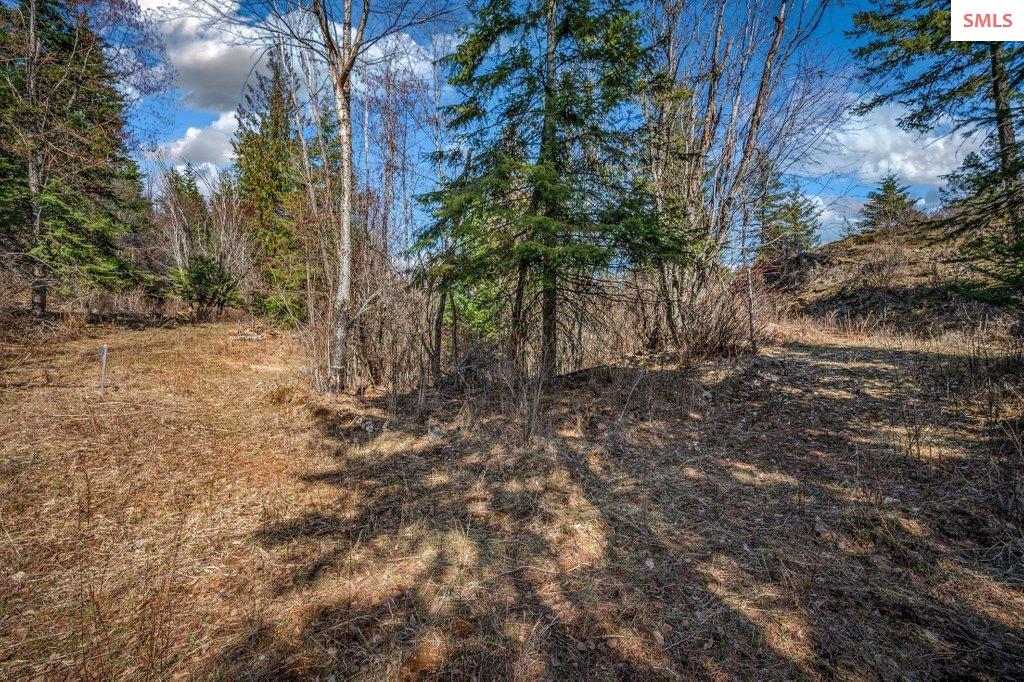 NNA G8 Forest Highland