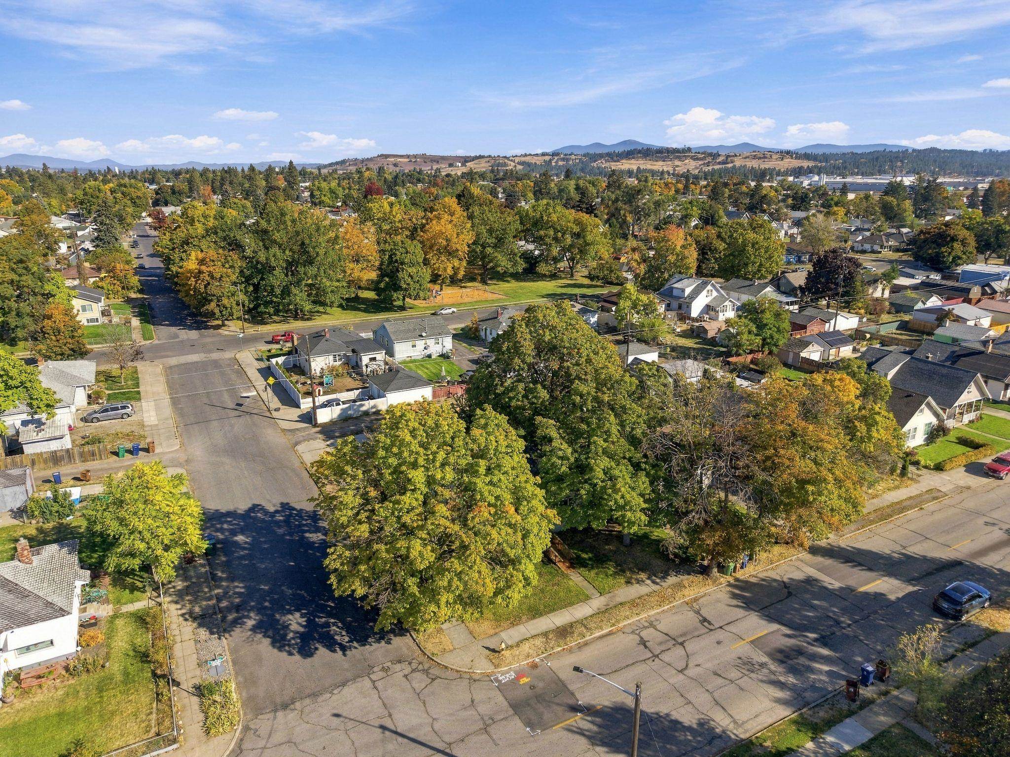 Aerial view of a tree-lined residential neighborhood with distant mountains.