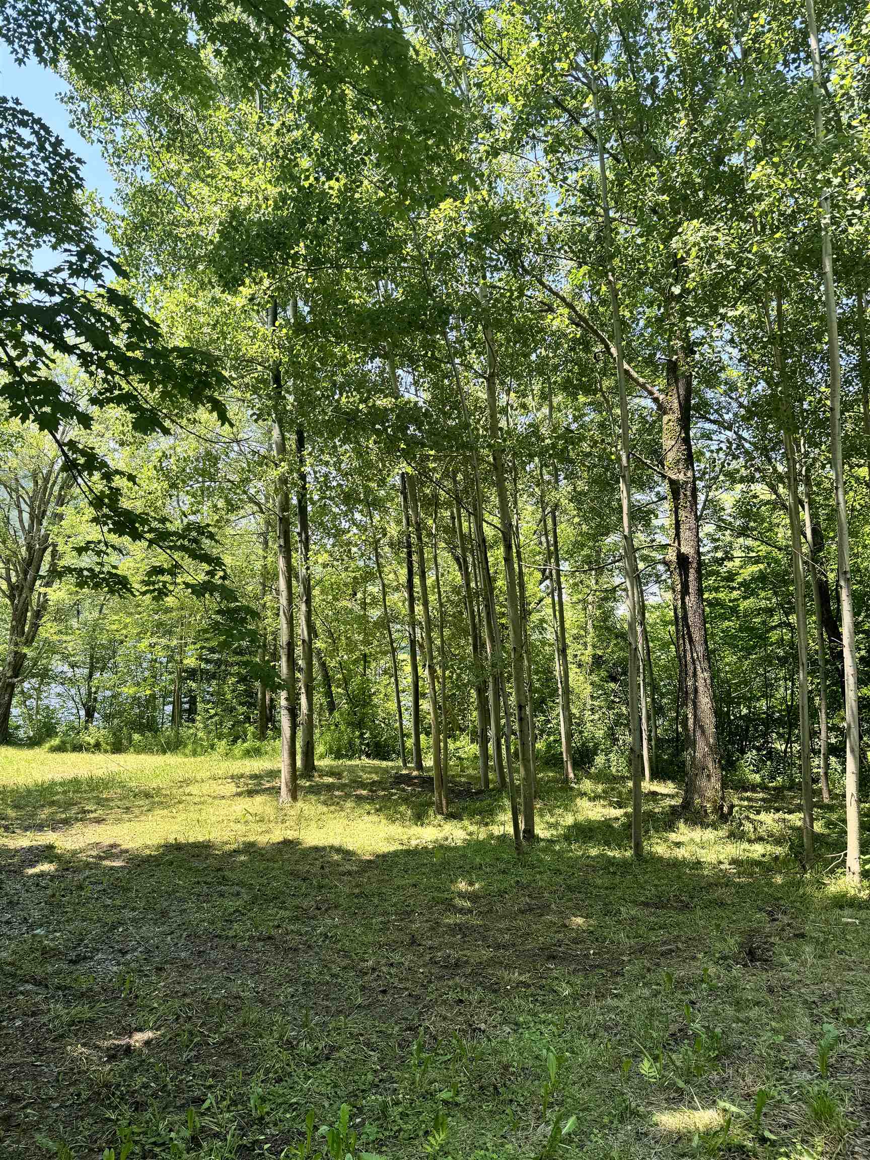 304 Camp Road