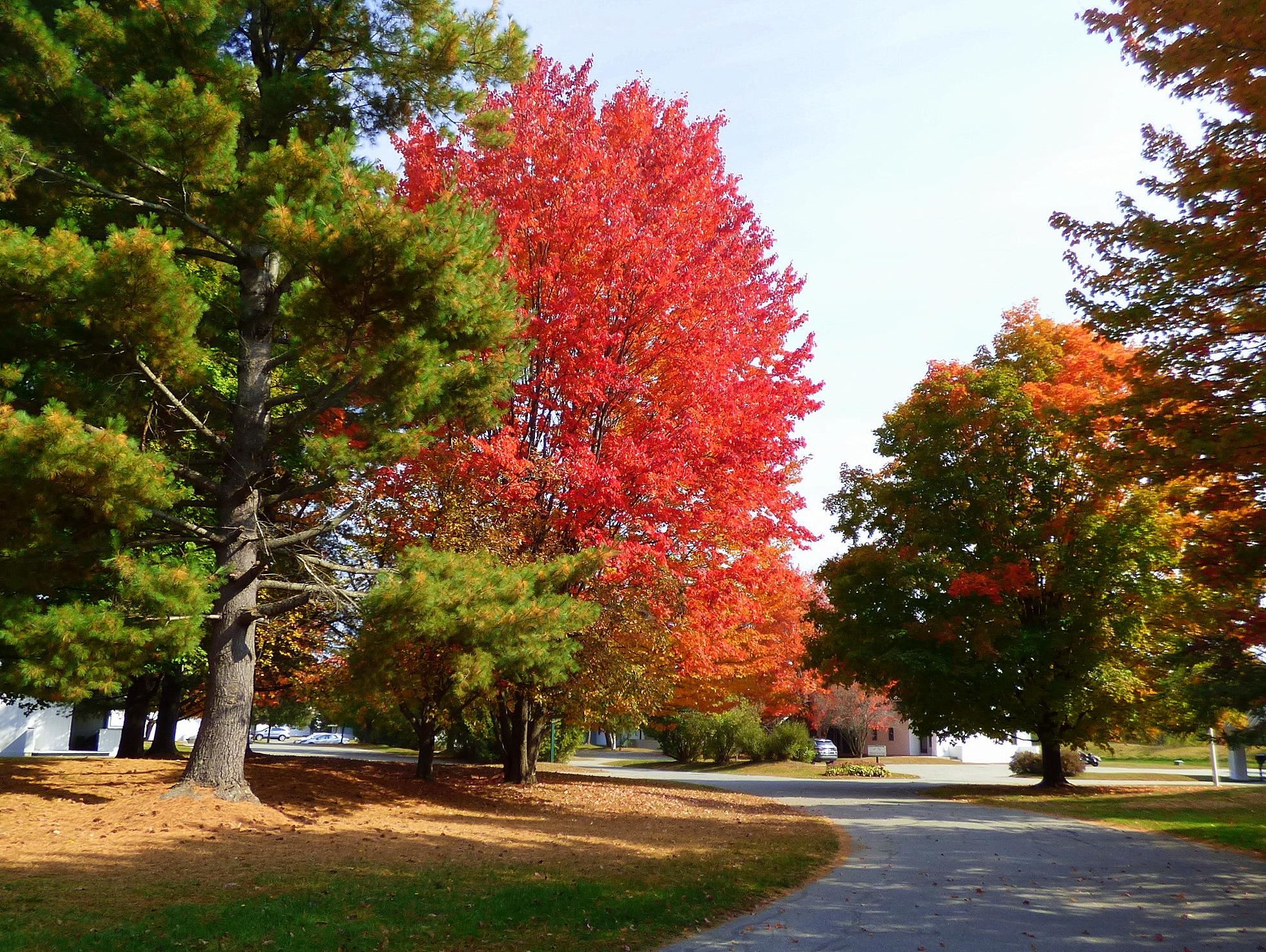 90 Village Green Drive Unit: 1C