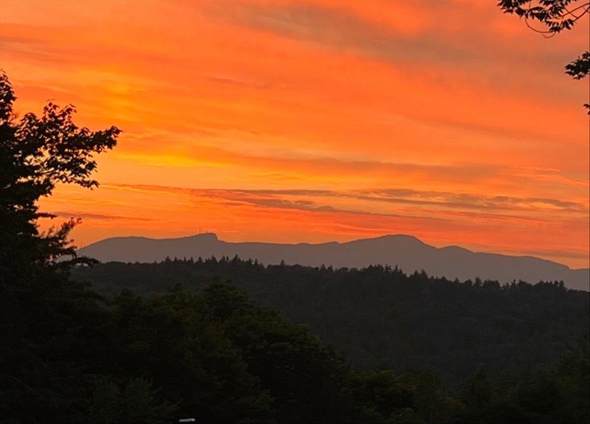 367 Sylvan Park Road