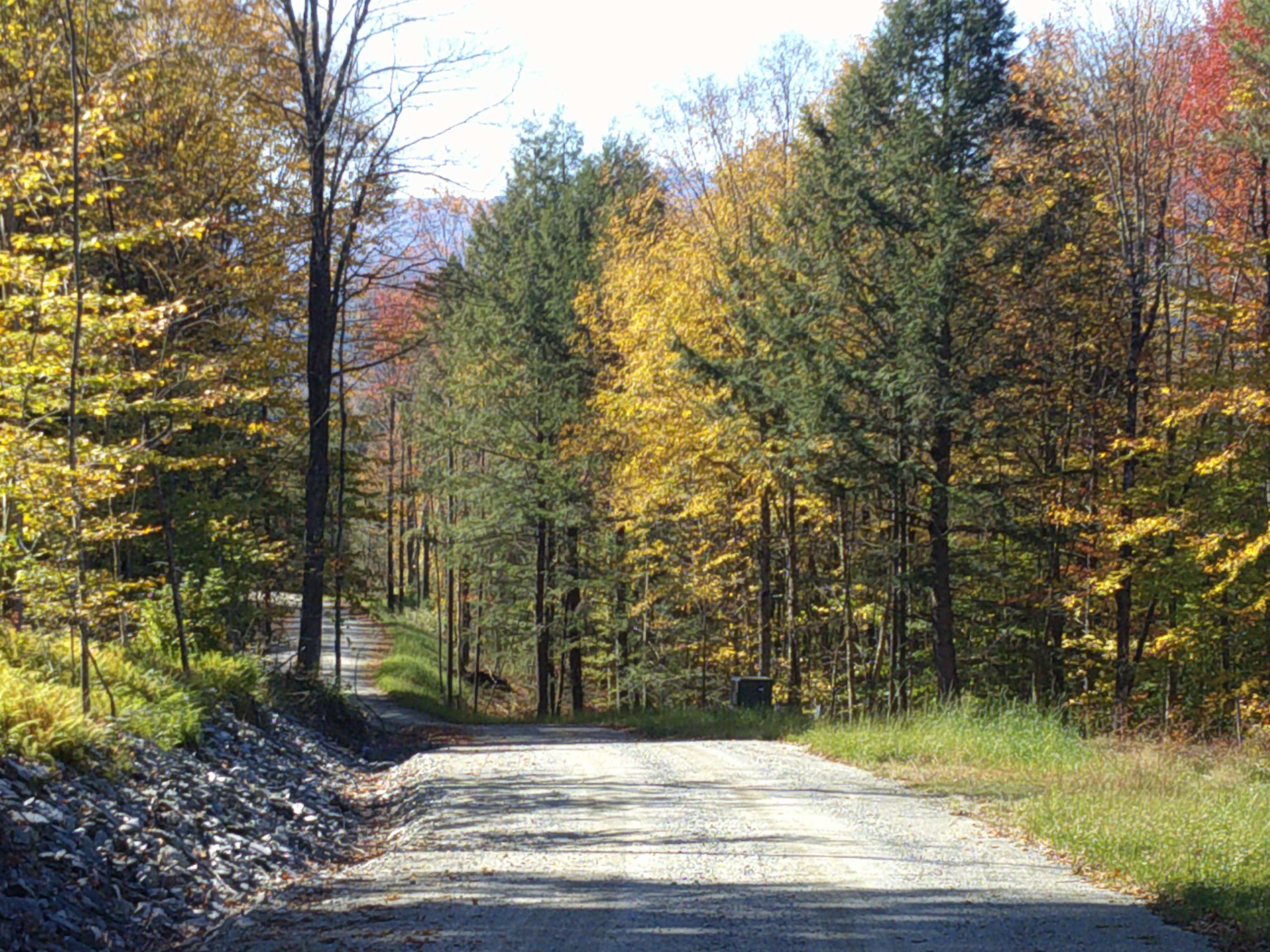 0 Dogwood Springs Road Unit: Lot 3