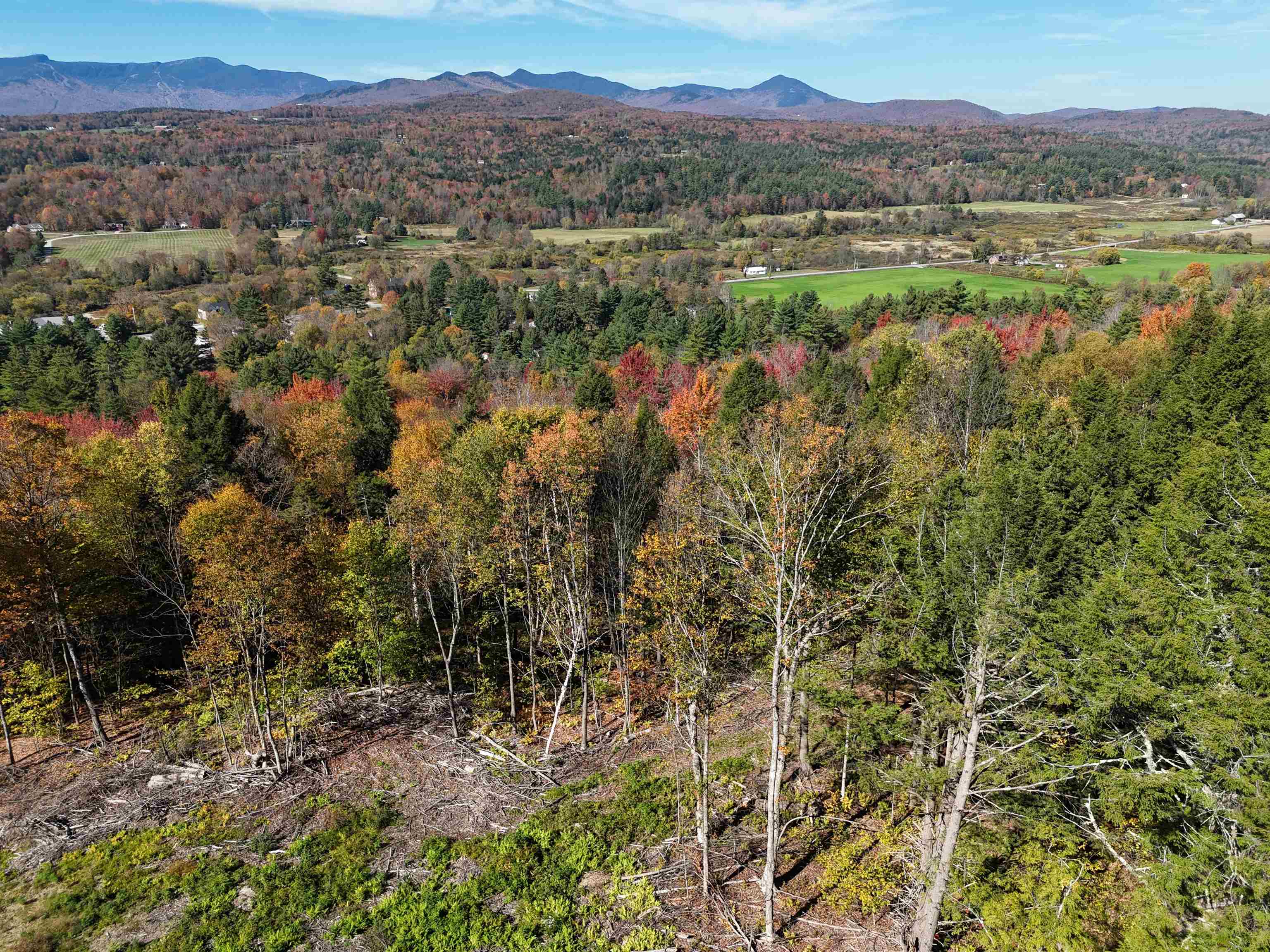 0 Dogwood Springs Road Unit: Lot 3