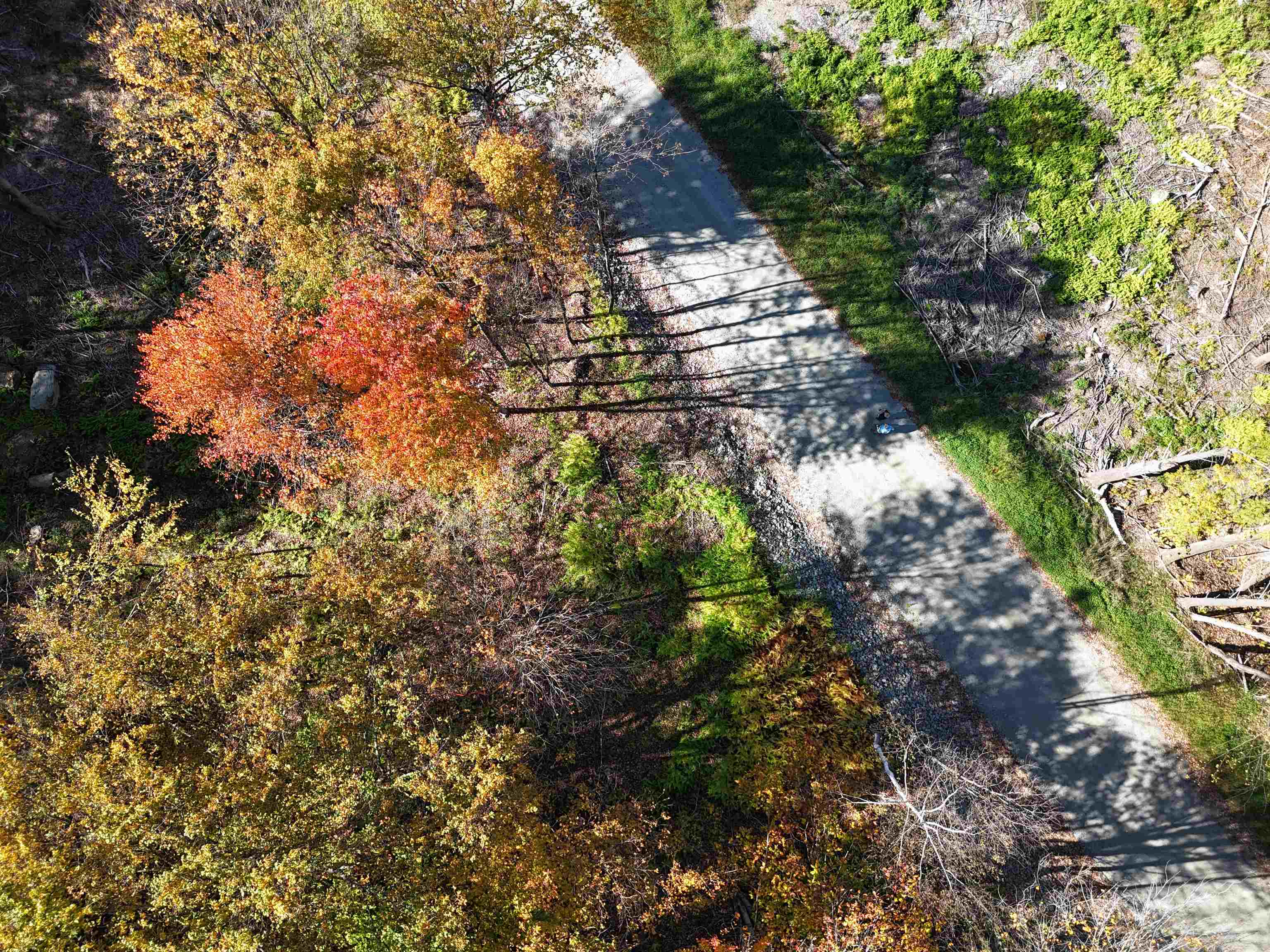 0 Dogwood Springs Road Unit: Lot 3