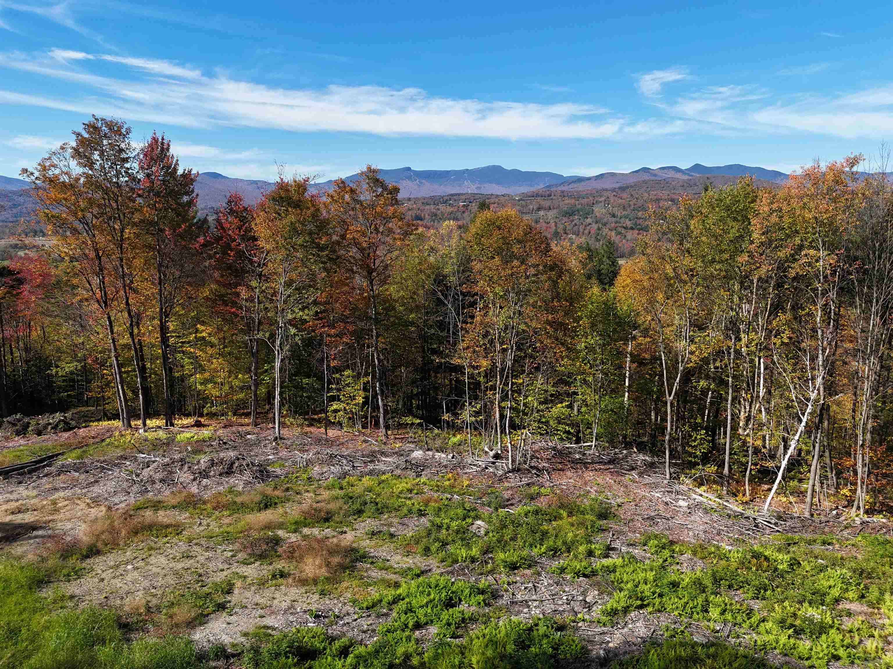 0 Dogwood Springs Road Unit: Lot 3