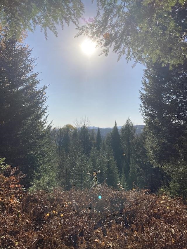 Lot B1 Gould Hill Road Unit: B1