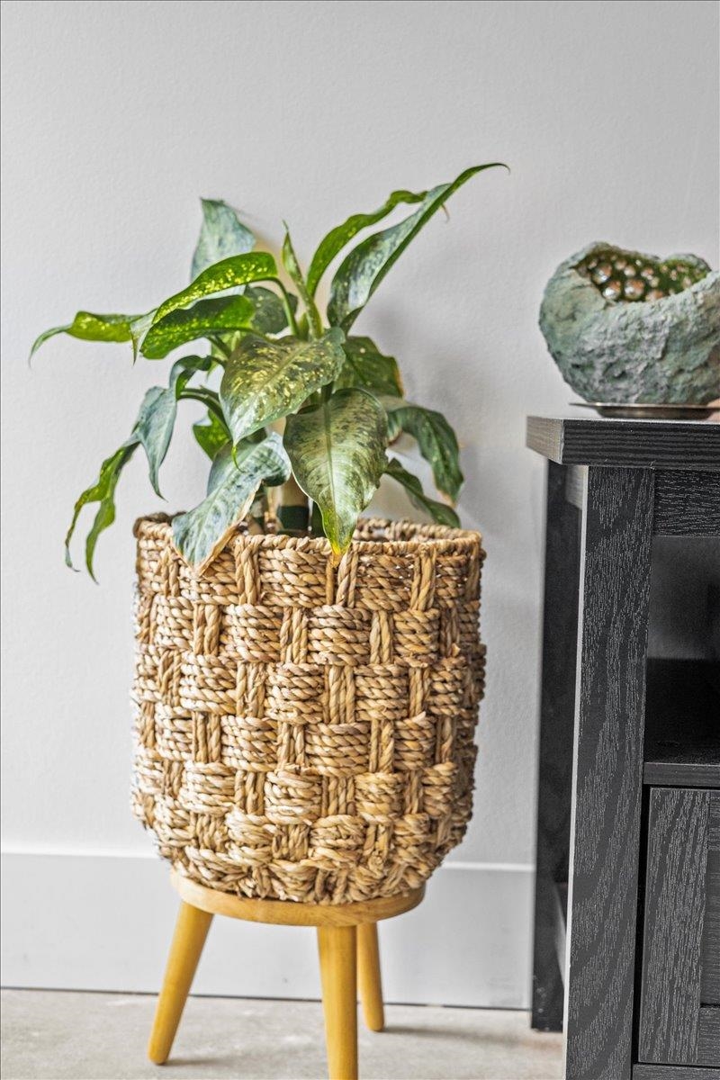 454 Mountain Road Unit: 8