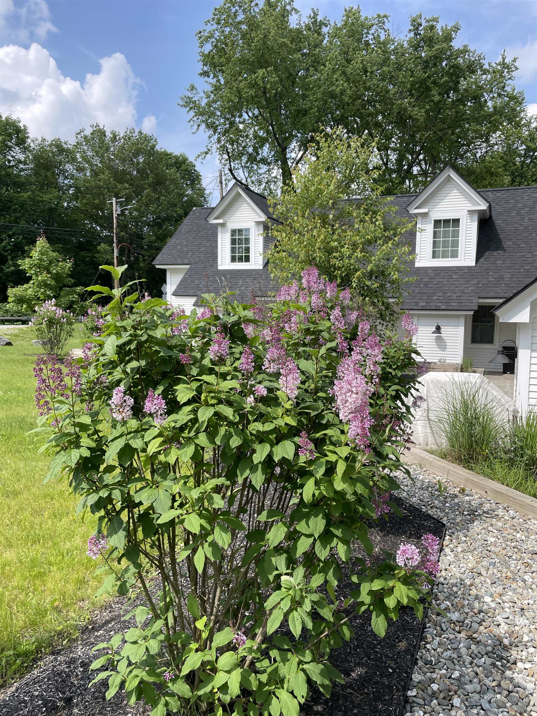 1457 Mountain Road Unit: 5