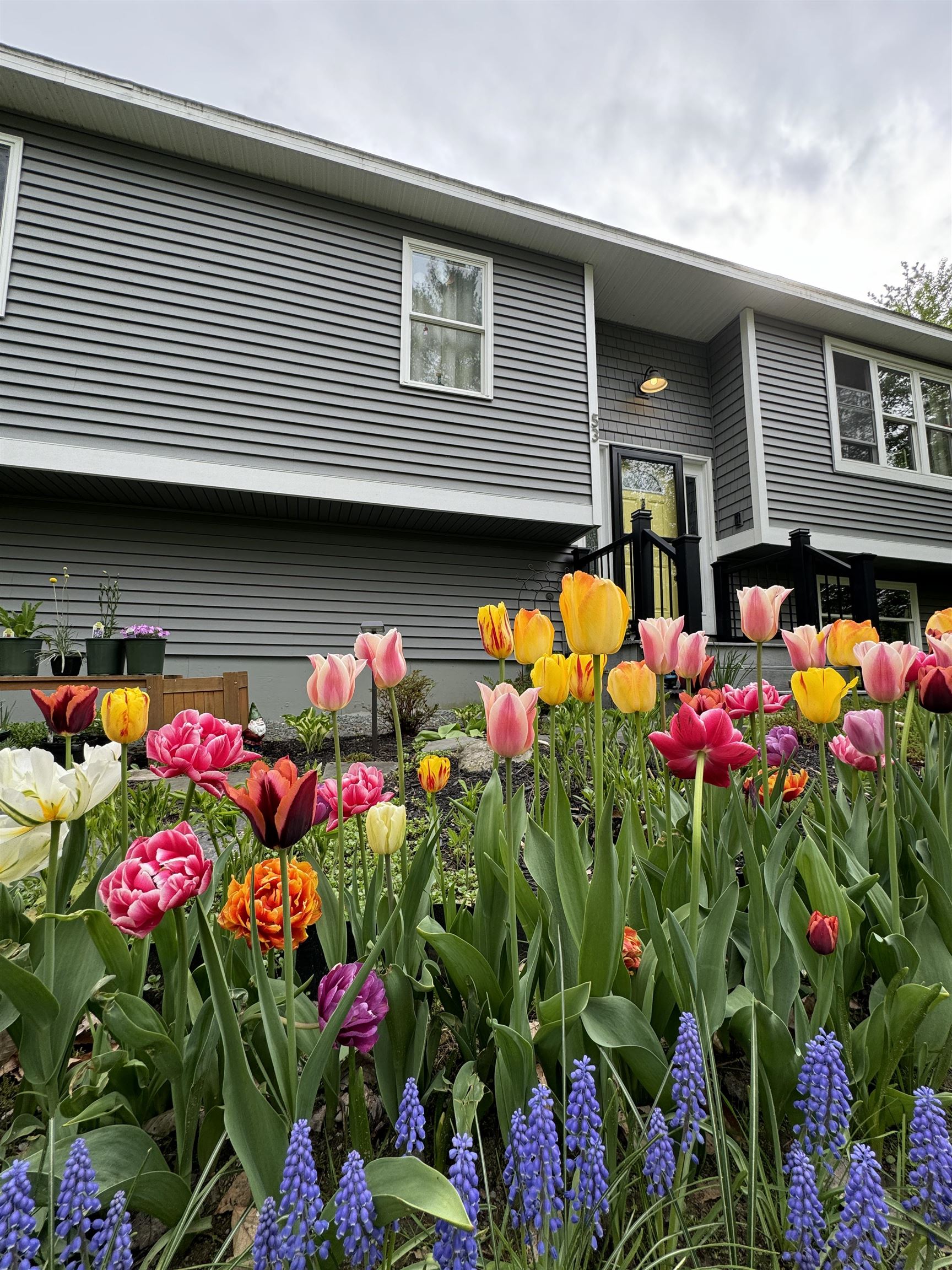 53 Sandhill Road